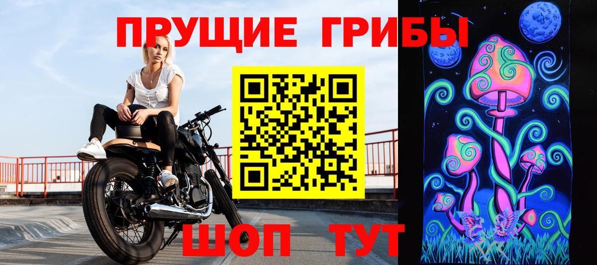 Переславль-Залесский  Псилоцибиновые грибы Cubensis  Вход с VPN  Псилоцибиновые грибы Magic Shrooms 