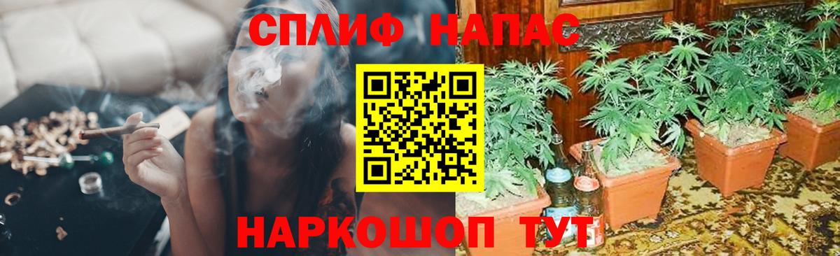 Бошки марихуана марихуана Переславль-Залесский